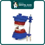 Maqueta de Ortodoncia Desmontable