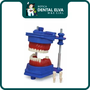 Maqueta de Ortodoncia Desmontable